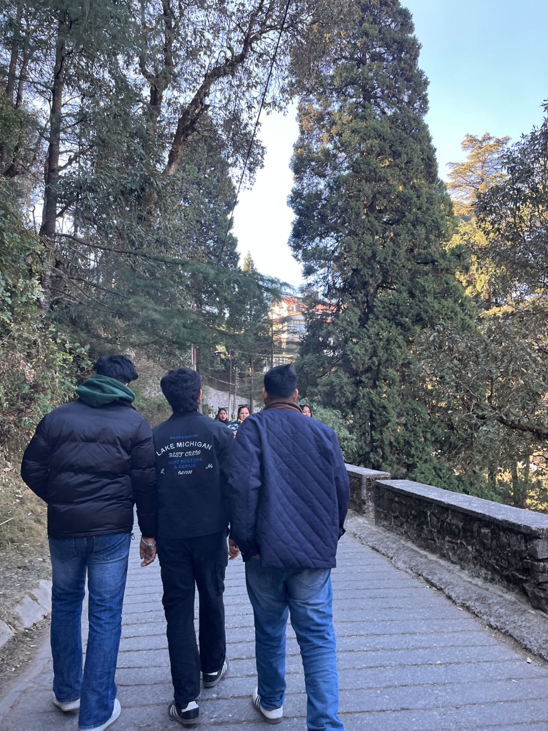 Three people walking a tree-lined hill road